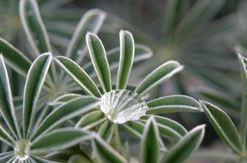 graphics, design, las vegas, photography, photoshop